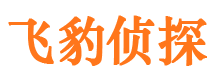 登封市婚外情调查